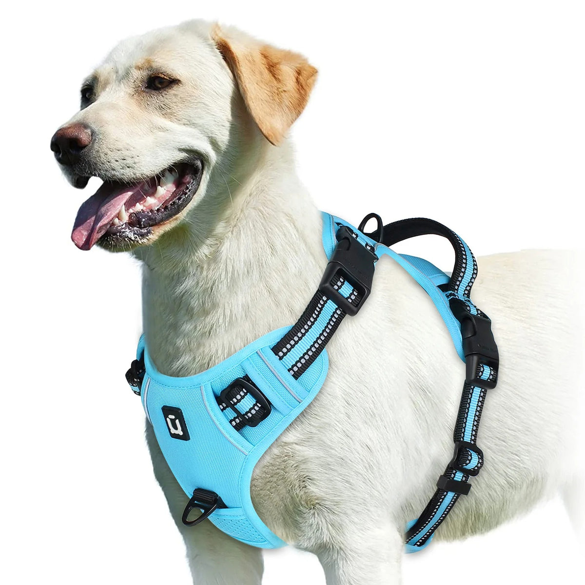 The Calm Stride Harness