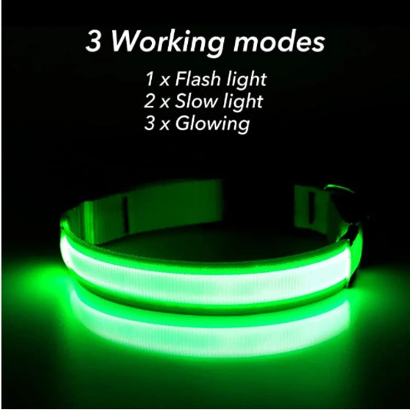 Rechargeable Glowing LED Collar – Night Visibility for Small to Large Dogs