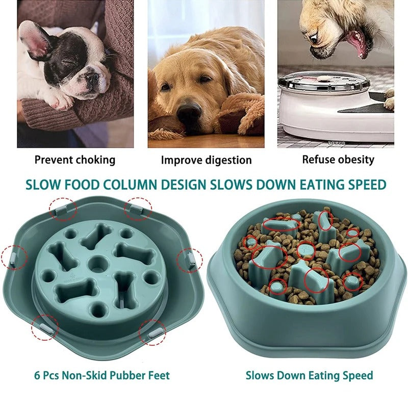 Slow Feeder Dog Bowl – Anti-Choking Puzzle Feeder for Small & Medium Dogs