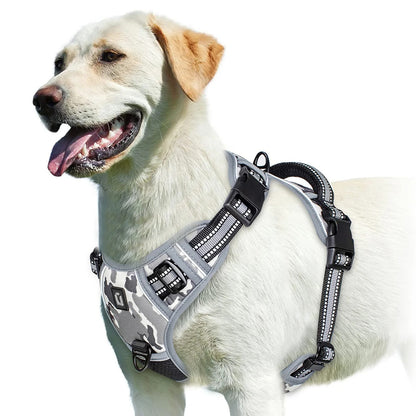 The Calm Stride Harness