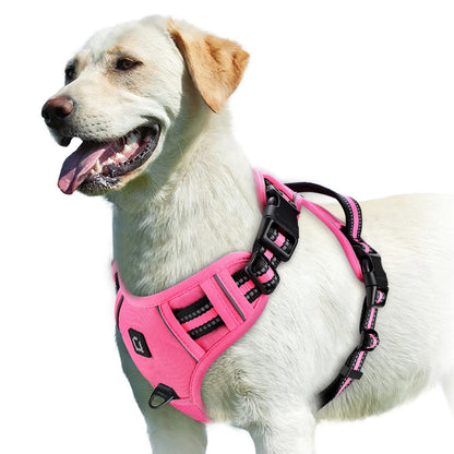 The Calm Stride Harness