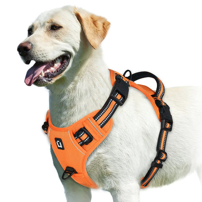 The Calm Stride Harness