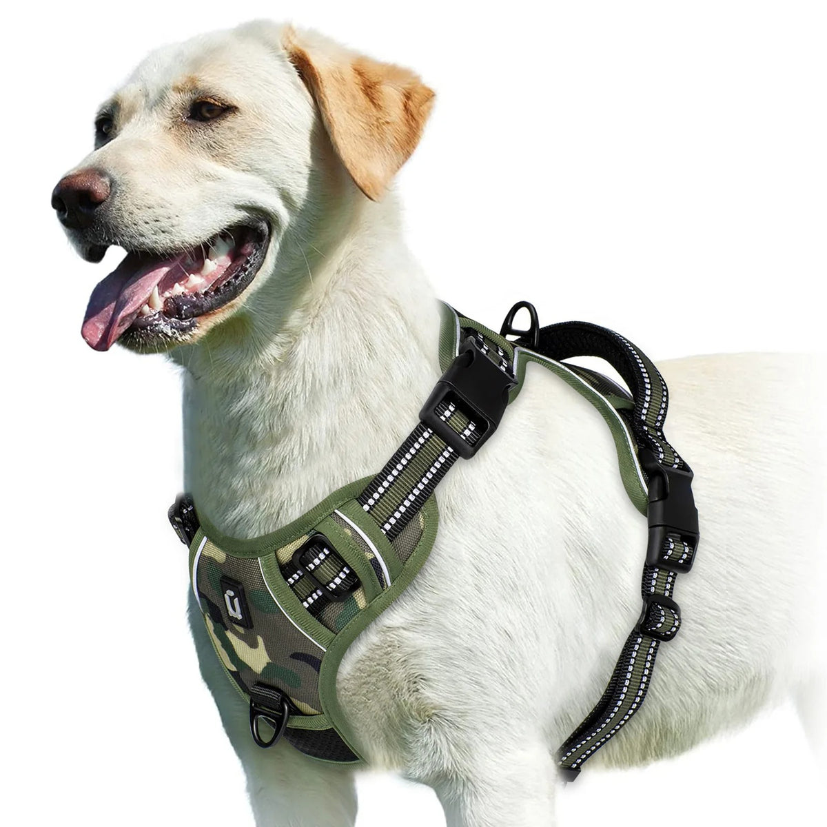 The Calm Stride Harness
