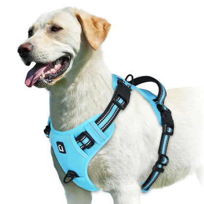The Calm Stride Harness