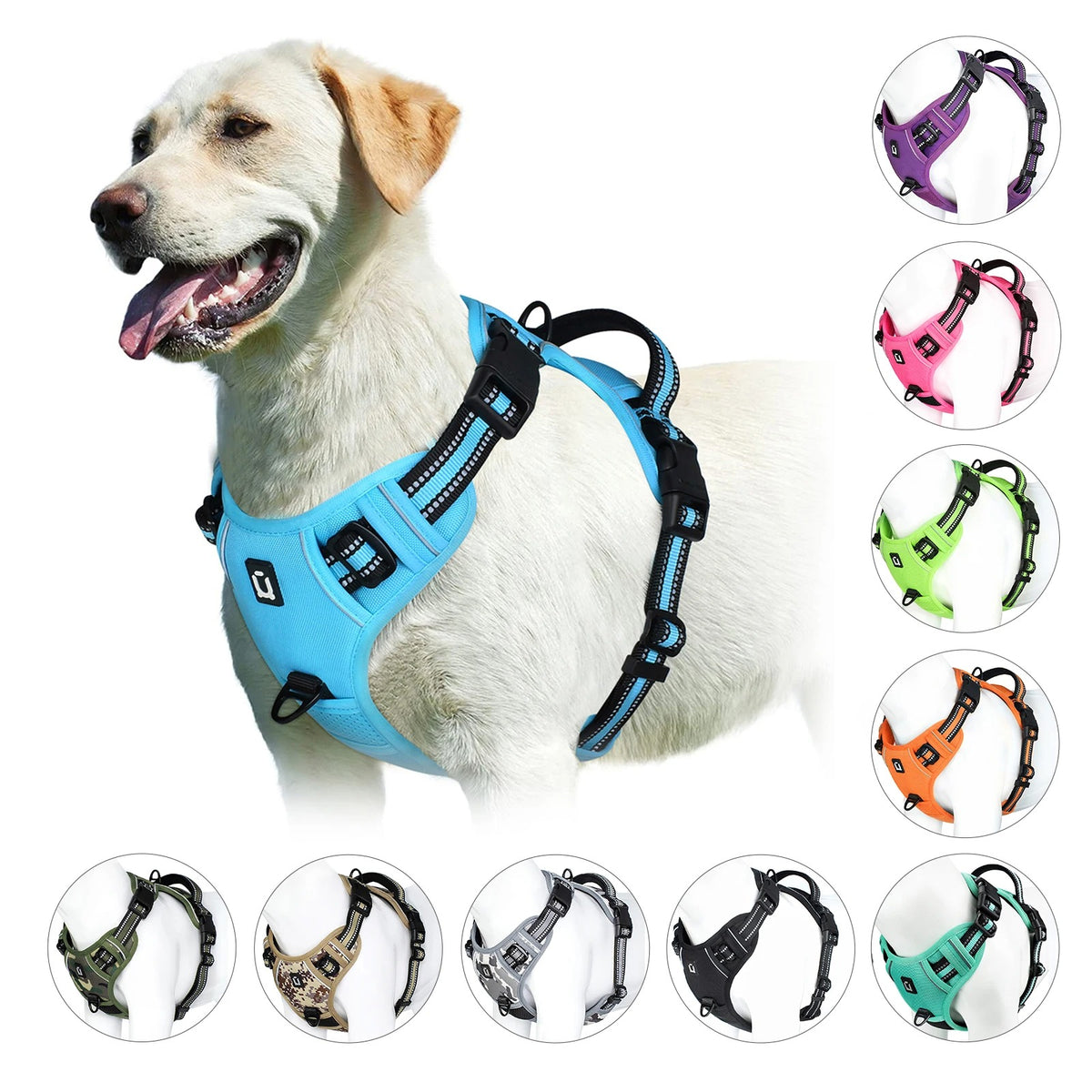 The Calm Stride Harness