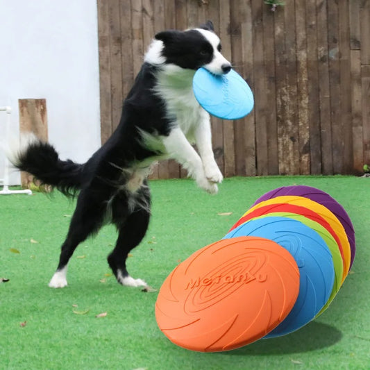 Bite Resistant Flying Disc Dog Toy – Durable Frisbee for Training & Play