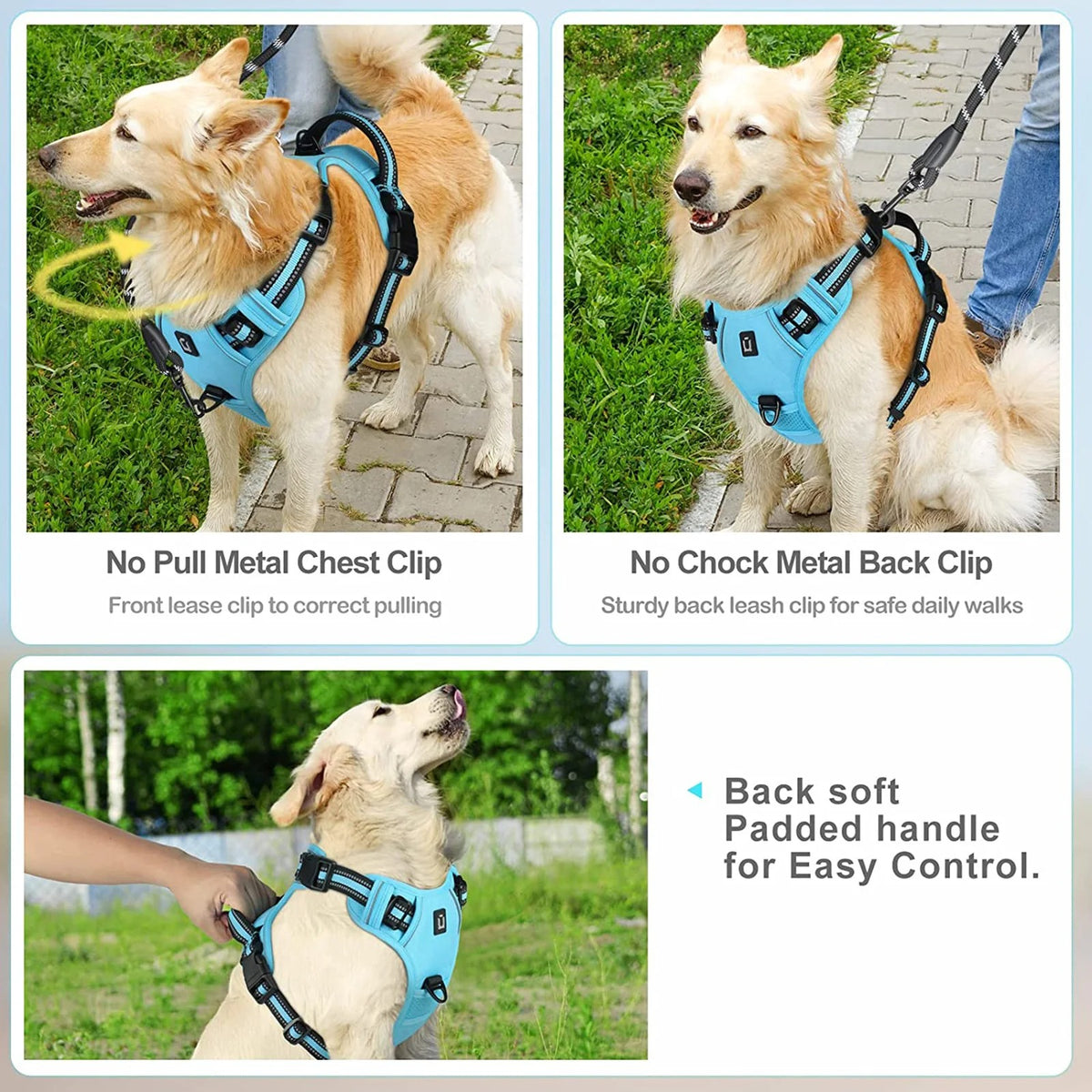 The Calm Stride Harness