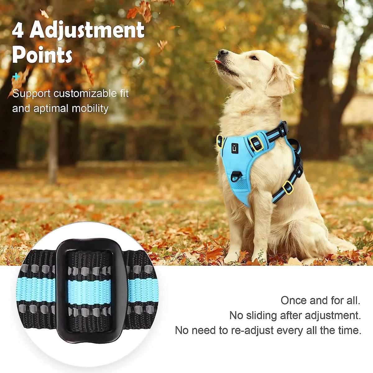 The Calm Stride Harness