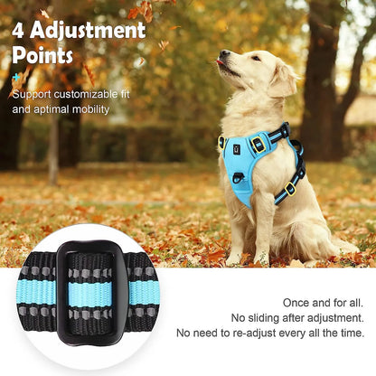 The Calm Stride Harness