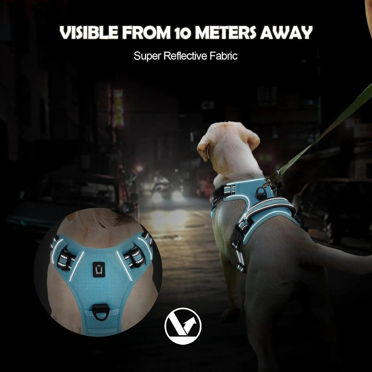 The Calm Stride Harness