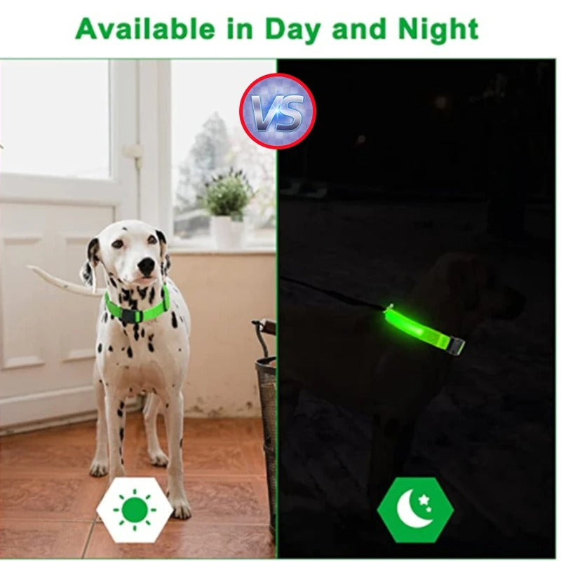 Rechargeable Glowing LED Collar – Night Visibility for Small to Large Dogs