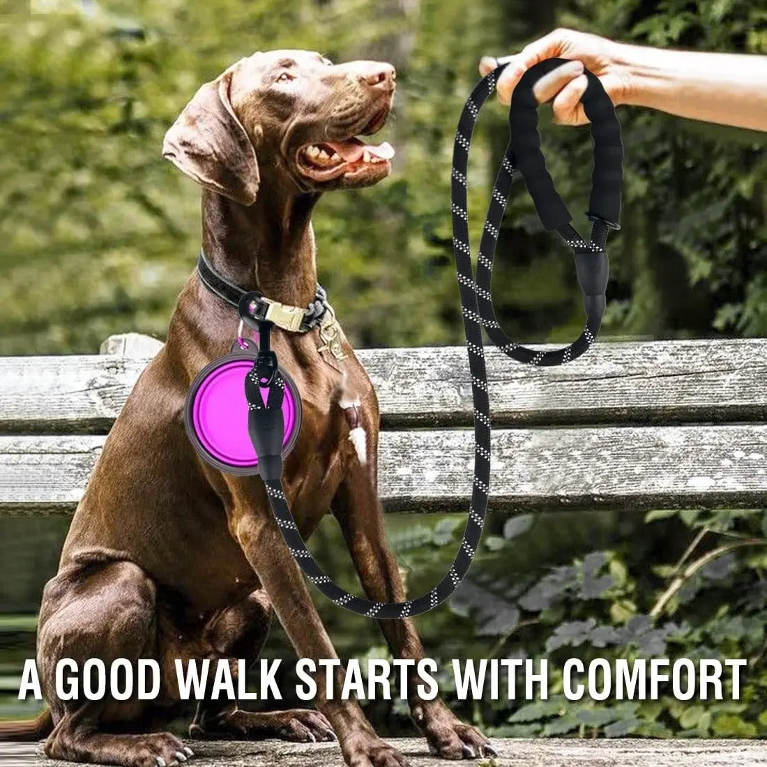 Strong Reflective Dog Leash – Durable Nylon Lead for Big & Small Dogs