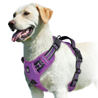 The Calm Stride Harness