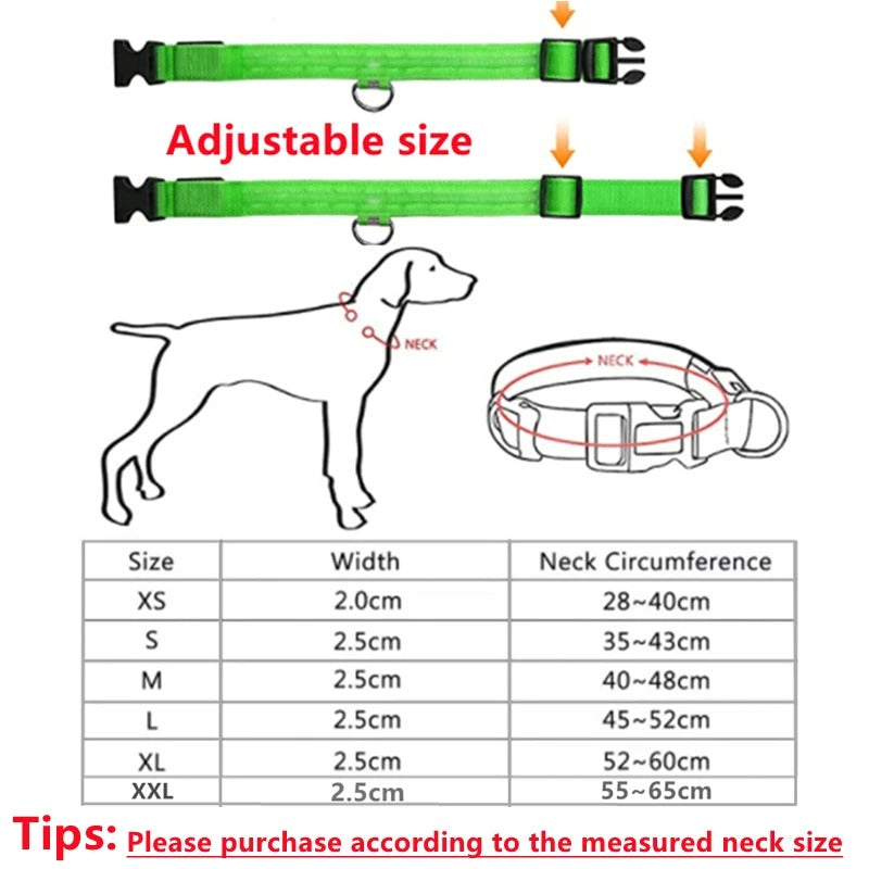 Rechargeable Glowing LED Collar – Night Visibility for Small to Large Dogs