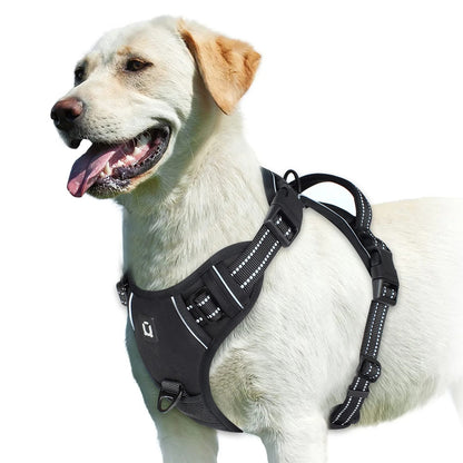 The Calm Stride Harness