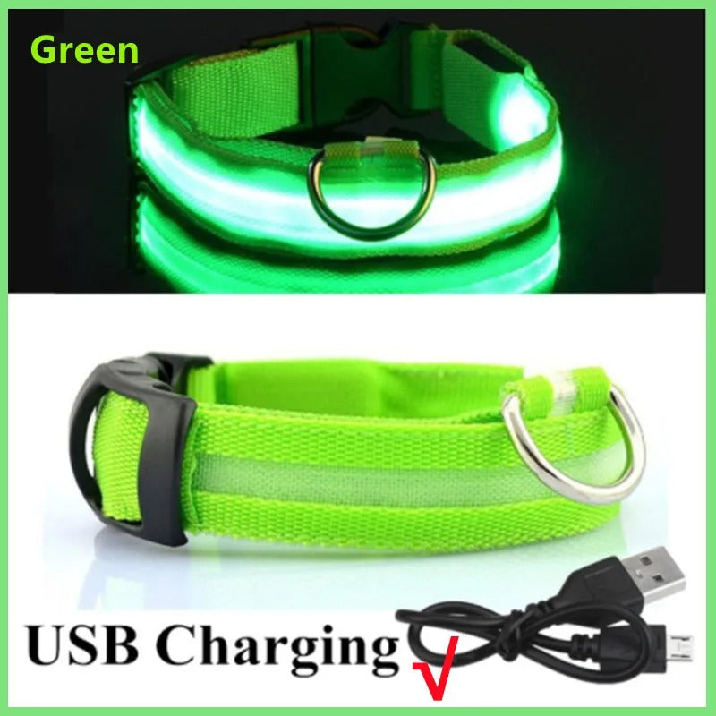 Rechargeable Glowing LED Collar – Night Visibility for Small to Large Dogs